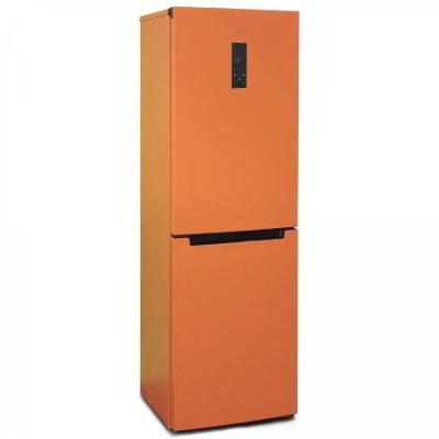 Холодильник T940NF БИРЮСА